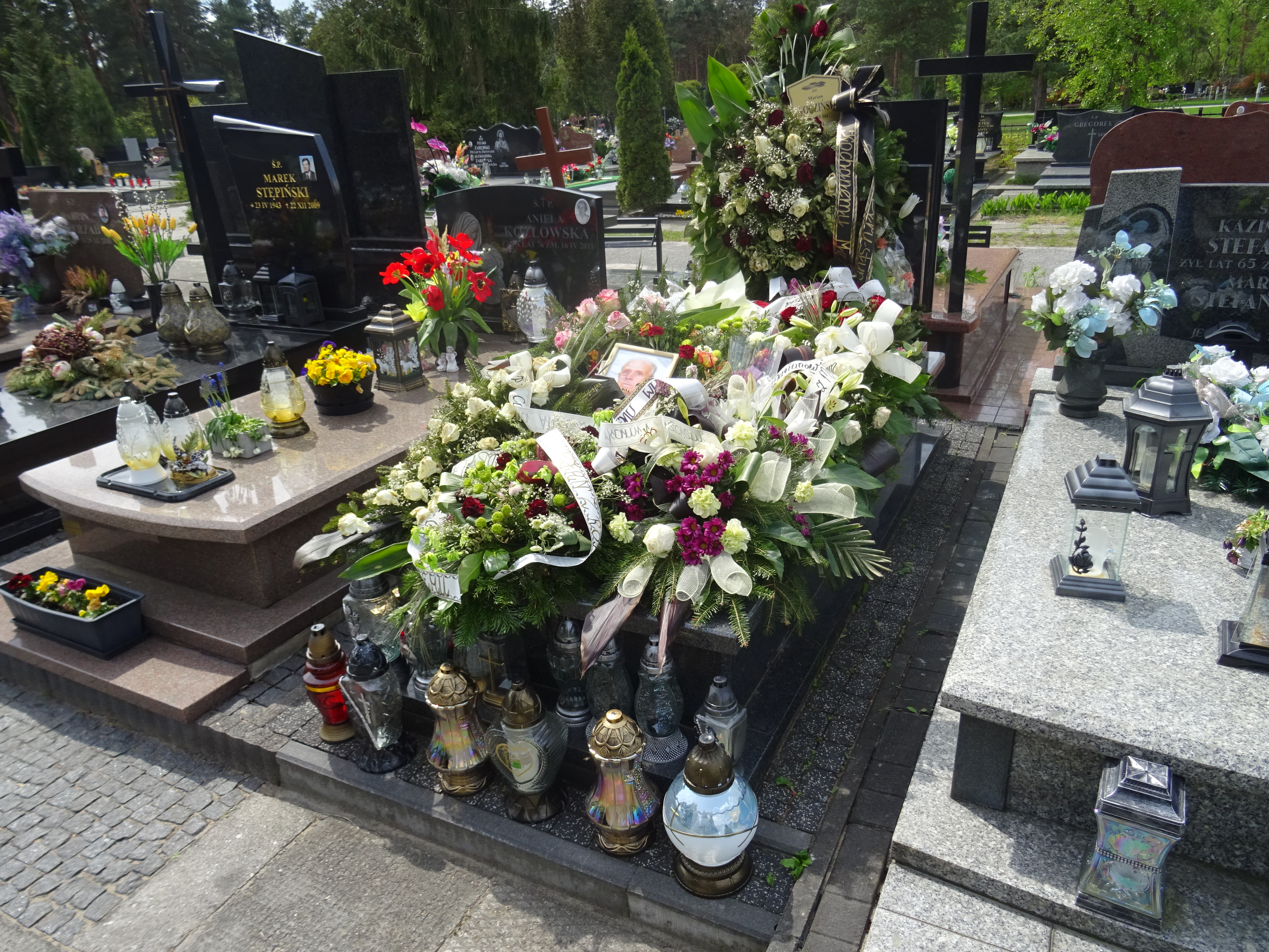 Grób Marian Wodziński