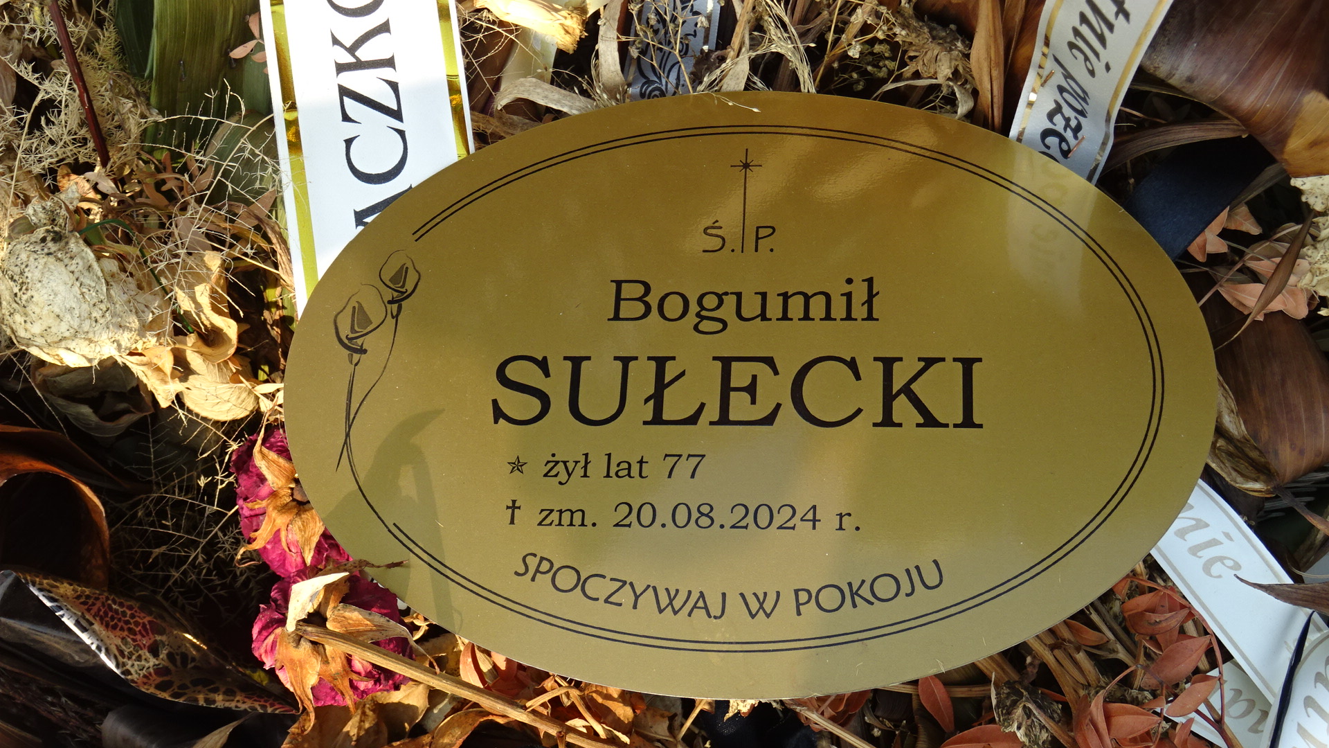 Grób Genowefa Sułecka