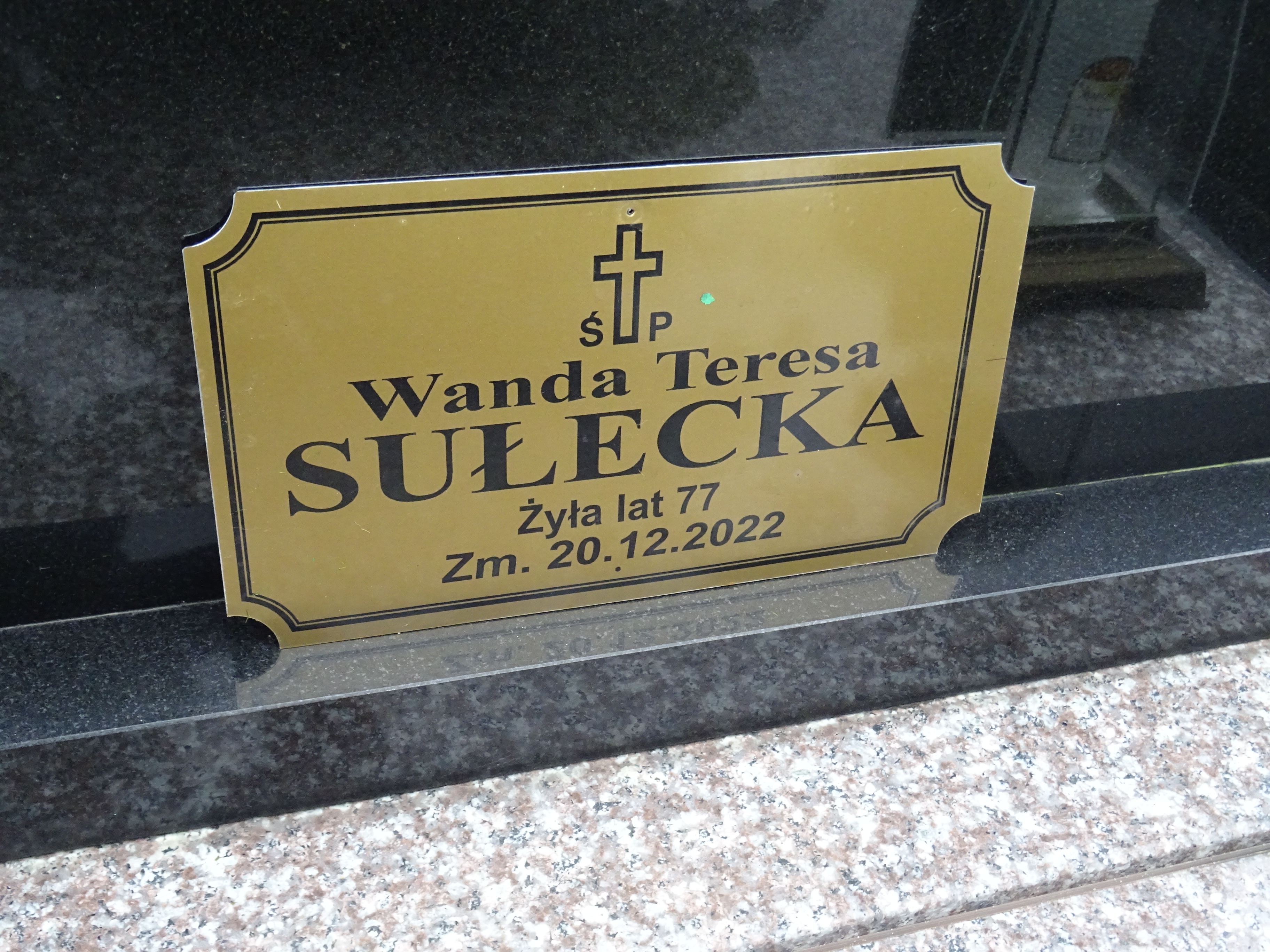 Grób Wanda Sułecka